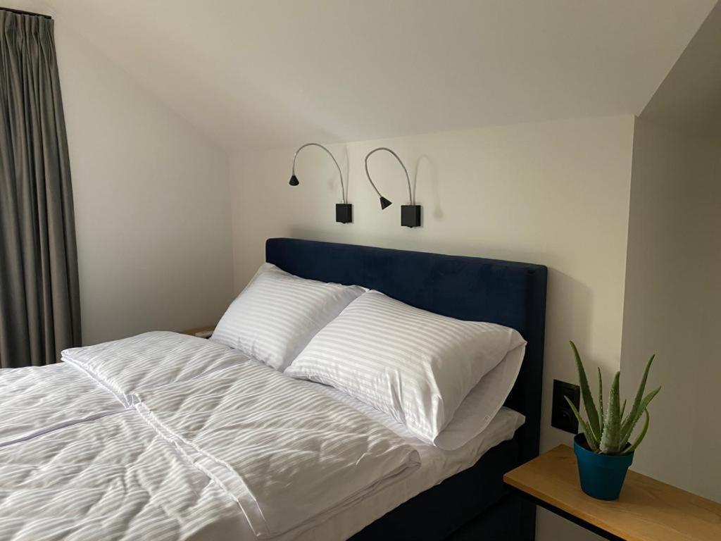 Manca Loft & Spa Mechelinki Eksteriør billede